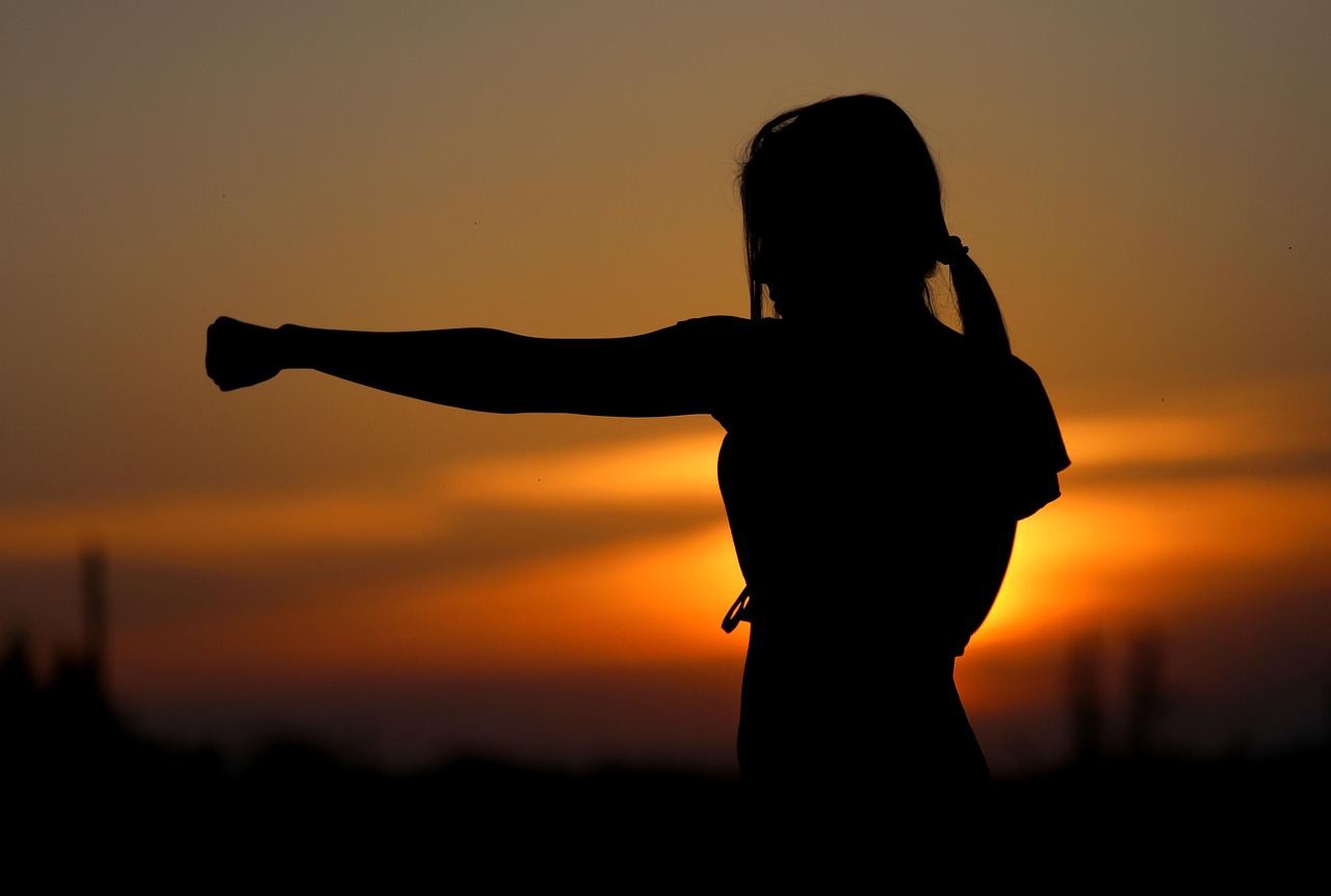 Training in Martial Arts and Other Physical Defense Techniques