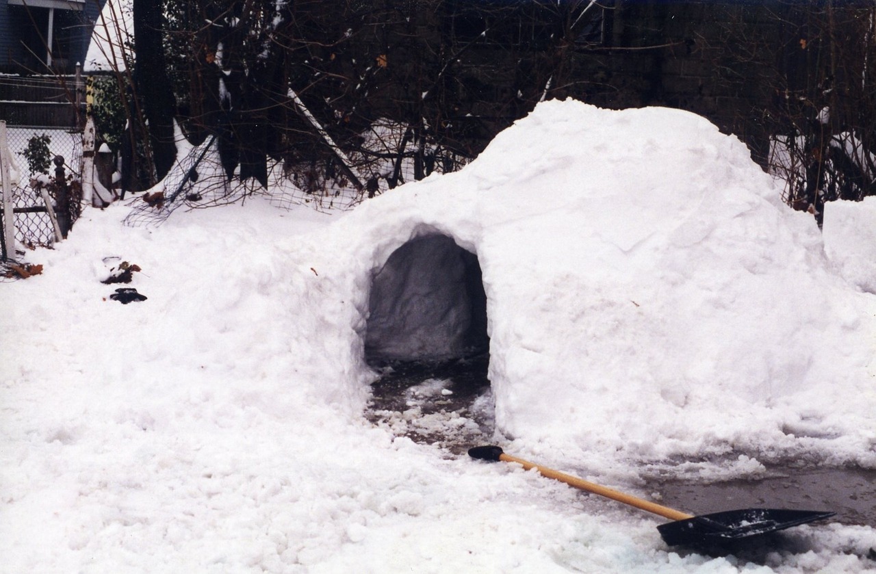 Building a Long-Term Survival Shelter: A Comprehensive Guide