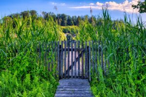 Building Fences, Gates, and Other Barriers to Deter Trespassers