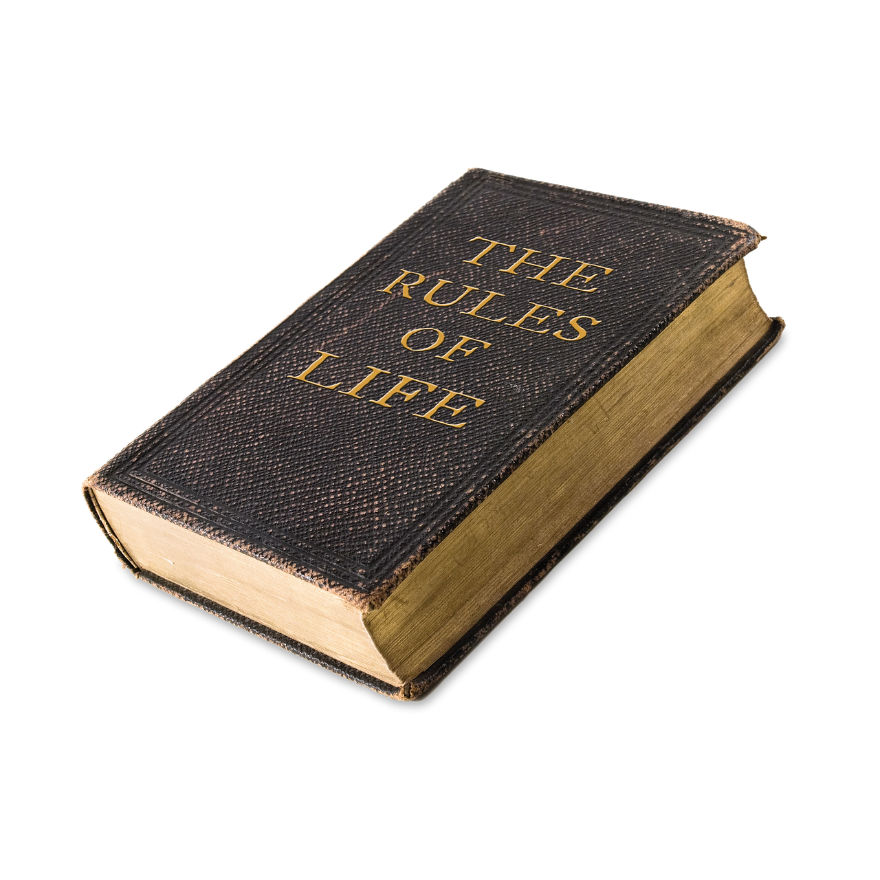 Survival Priorities and the Rule of Threes: What to Do First When Things Go Wrong