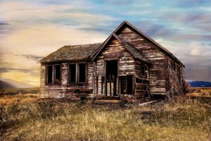 Planning Your Homestead: How to Start Without Burning Out or Going Broke