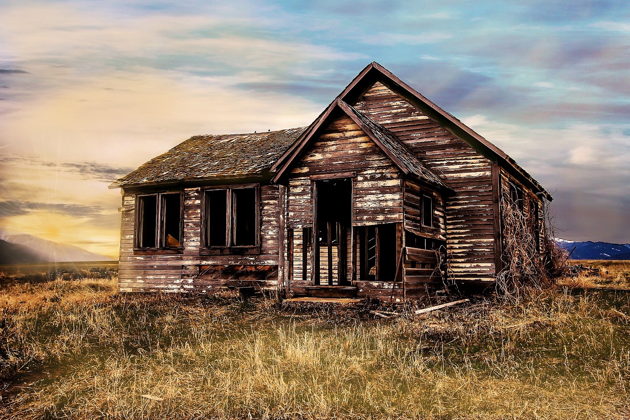 Planning Your Homestead: How to Start Without Burning Out or Going Broke